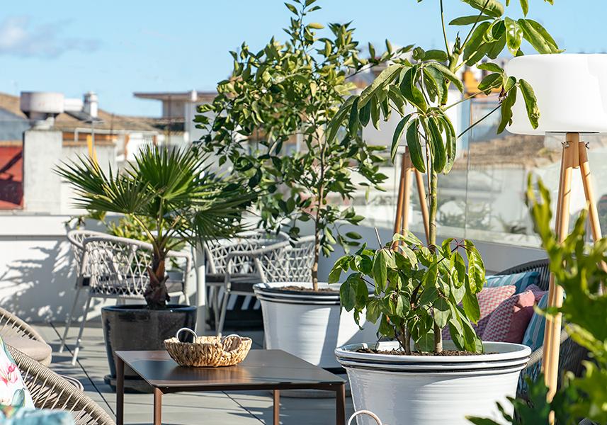 Mehrere Dienste, Viel mehr... Vincci Molviedro 4* Sevilla Mehrere Dienste, Viel mehr... Vincci Molviedro 4* Sevilla