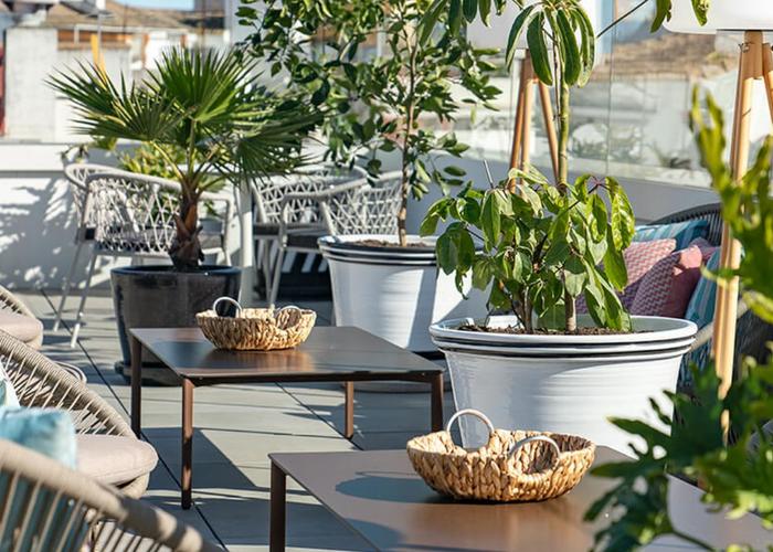 Terrace 1201 Vincci Molviedro 4* Siviglia Terrace 1201 Vincci Molviedro 4* Siviglia